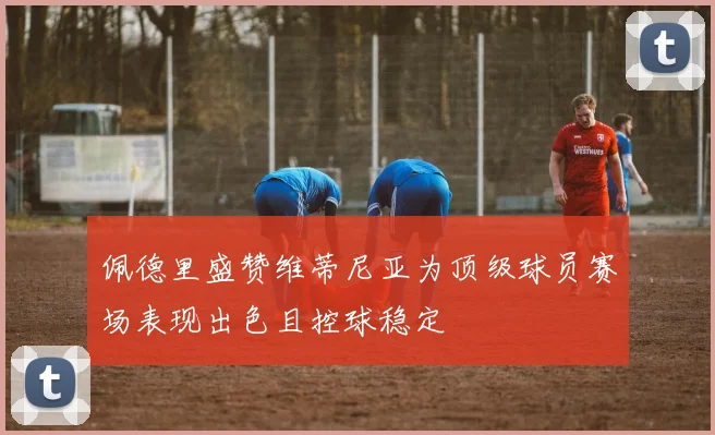 佩德里盛赞维蒂尼亚为顶级球员赛场表现出色且控球稳定
