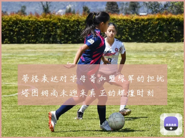 蒂格表达对字母哥加盟绿军的担忧塔图姆尚未迎来真正的辉煌时刻
