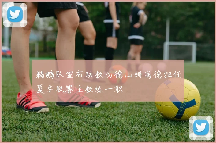 鹈鹕队宣布助教戈德山姆高德担任夏季联赛主教练一职